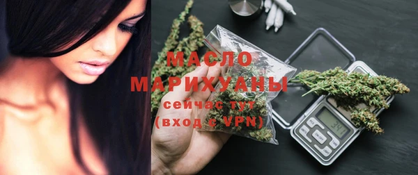 молекула духа Пестово
