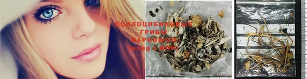 шишки Остров