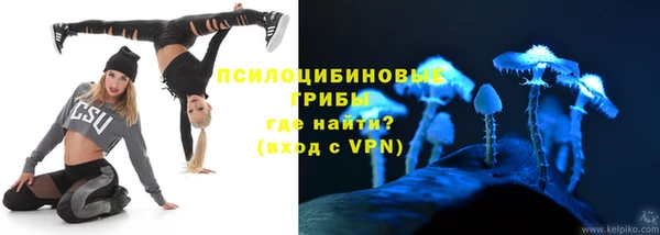 молекула духа Пестово