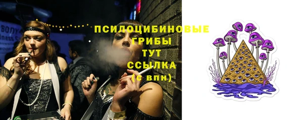 шишки Остров